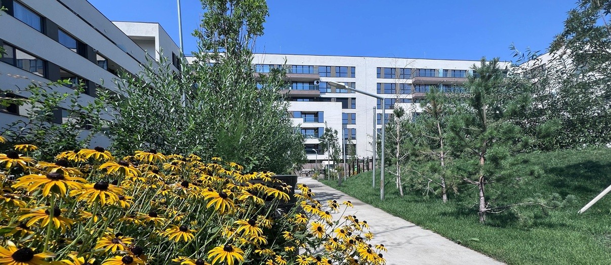 cum masori o camera asigurare ca alegi un dezvoltator de incredere