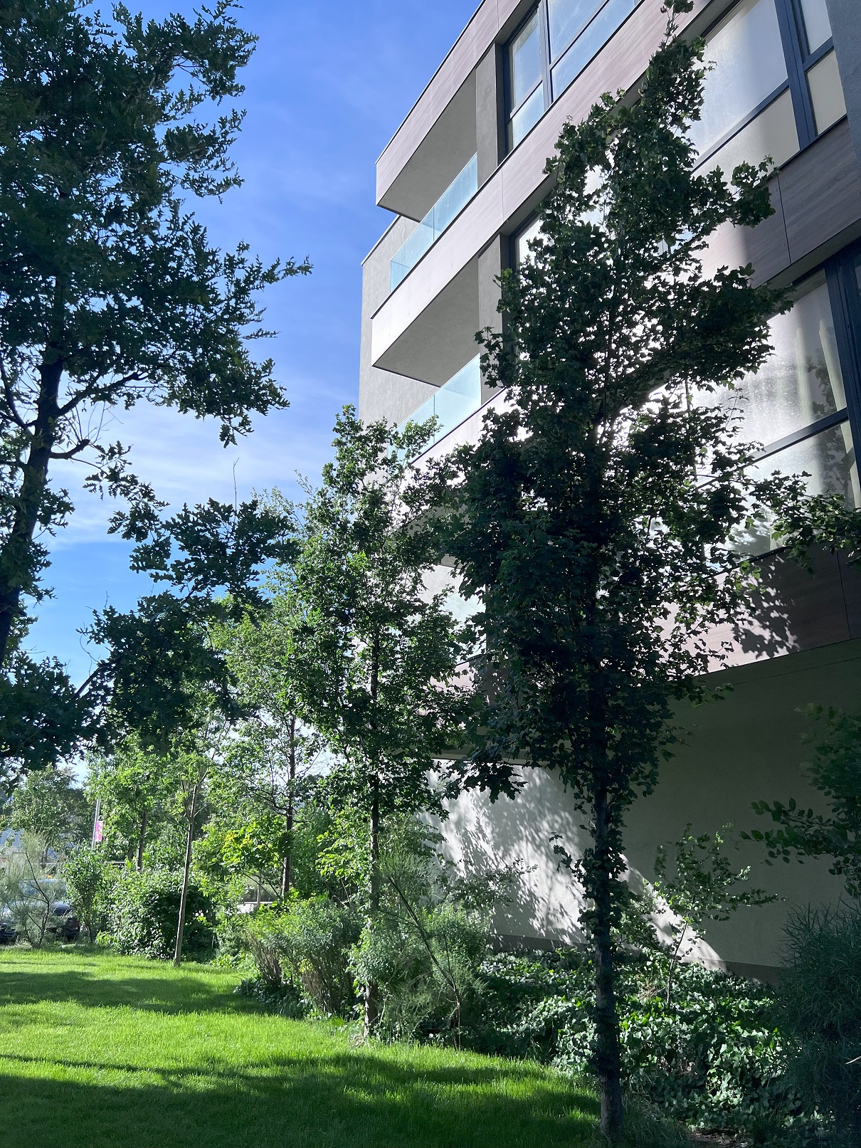 regim mic de inaltime