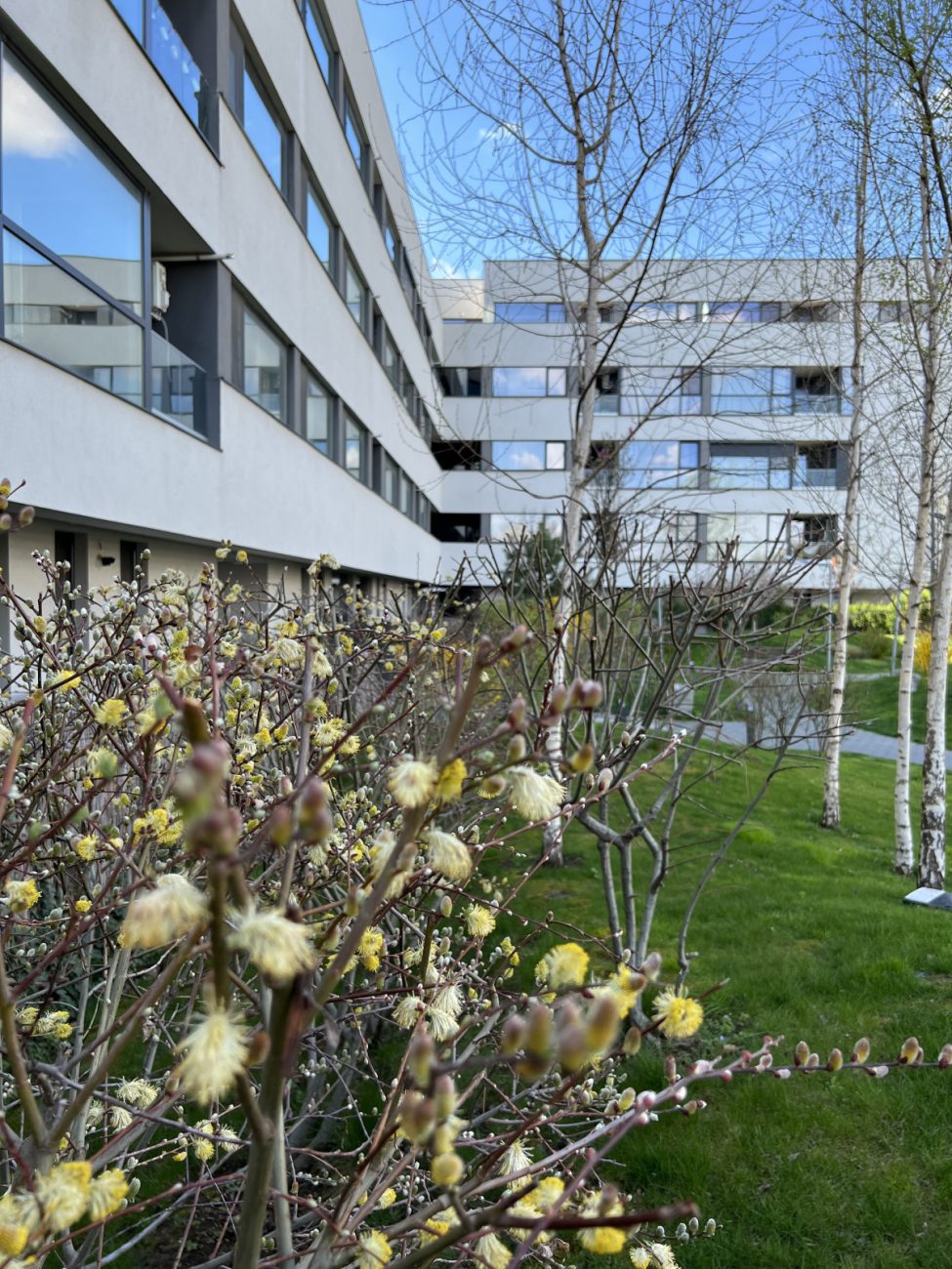 Avantaje complex rezidential vs. casa