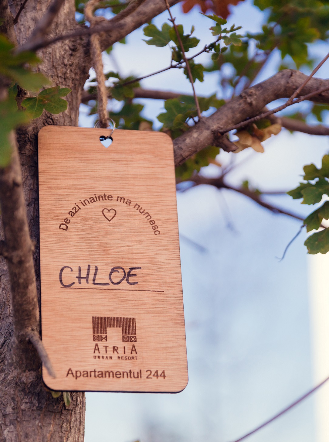 Un pui de pom cu nume de om