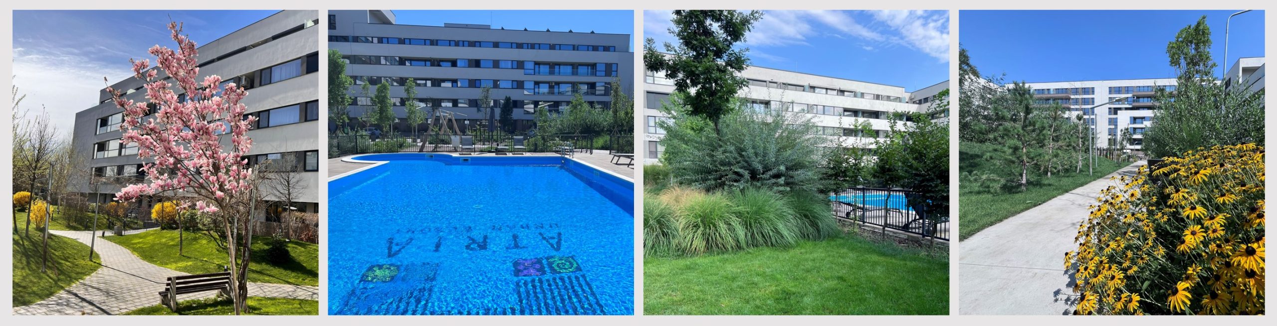 costuri intretinere apartamente in complex rezidential cu piscina