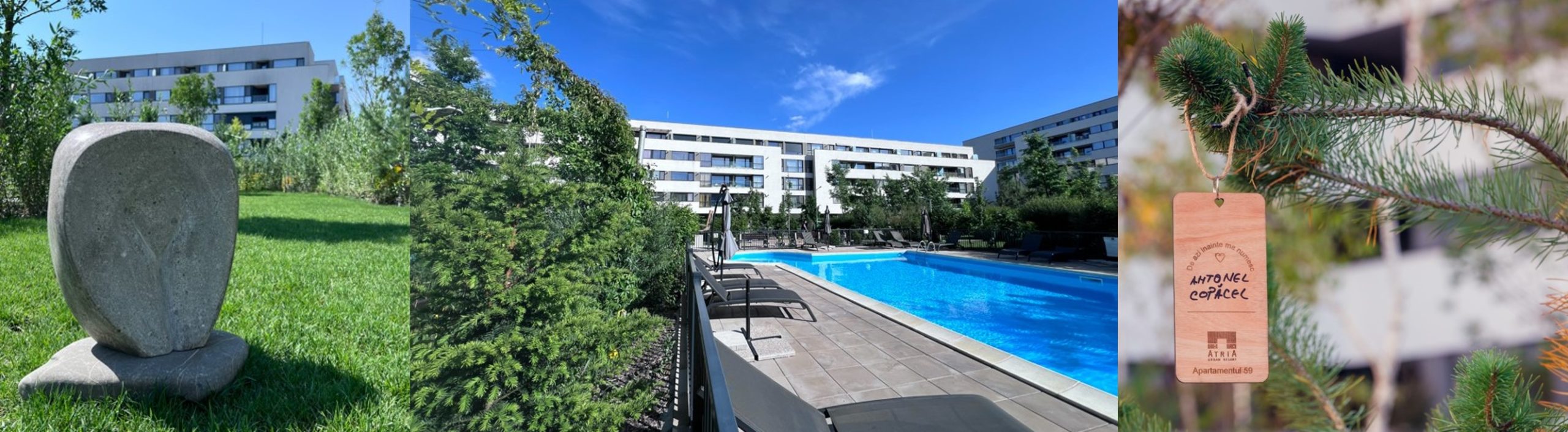 complex verde in sectorul 1 - tradilie botezul copacilor