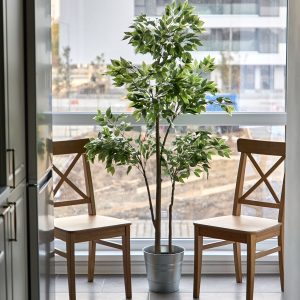 Apartamentele luminoase și beneficiile lor asupra noastră