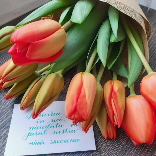 Povesti cu Flori – Floral Design by Gabriela Ivan (Sandu)